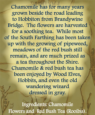 Gandalf the Gray Tea Back