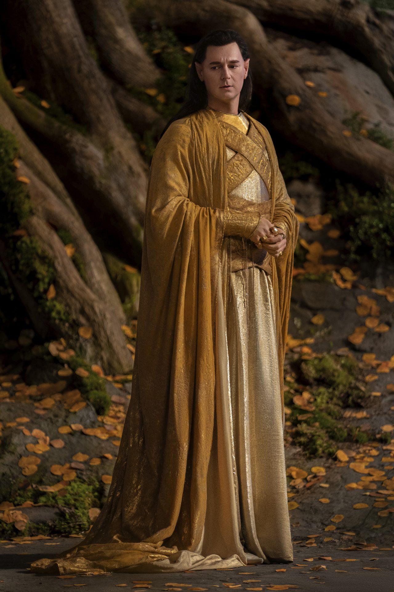 The-Lord-of-the-Rings-Rings-of-Power-Gil-galad-standing-in-robes.jpg.jpg