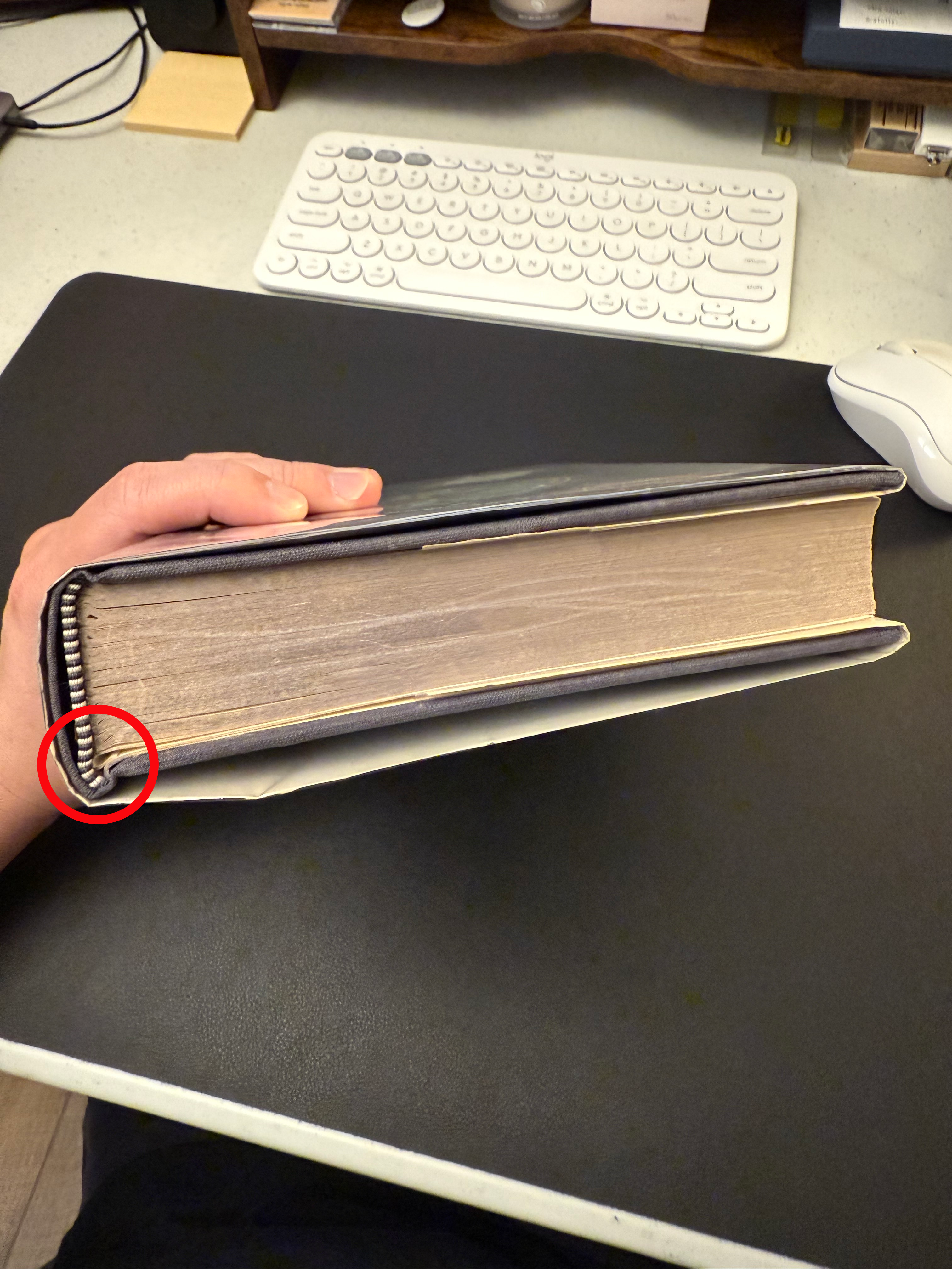 4888_6841965a901cb.png 3024X4032 px
