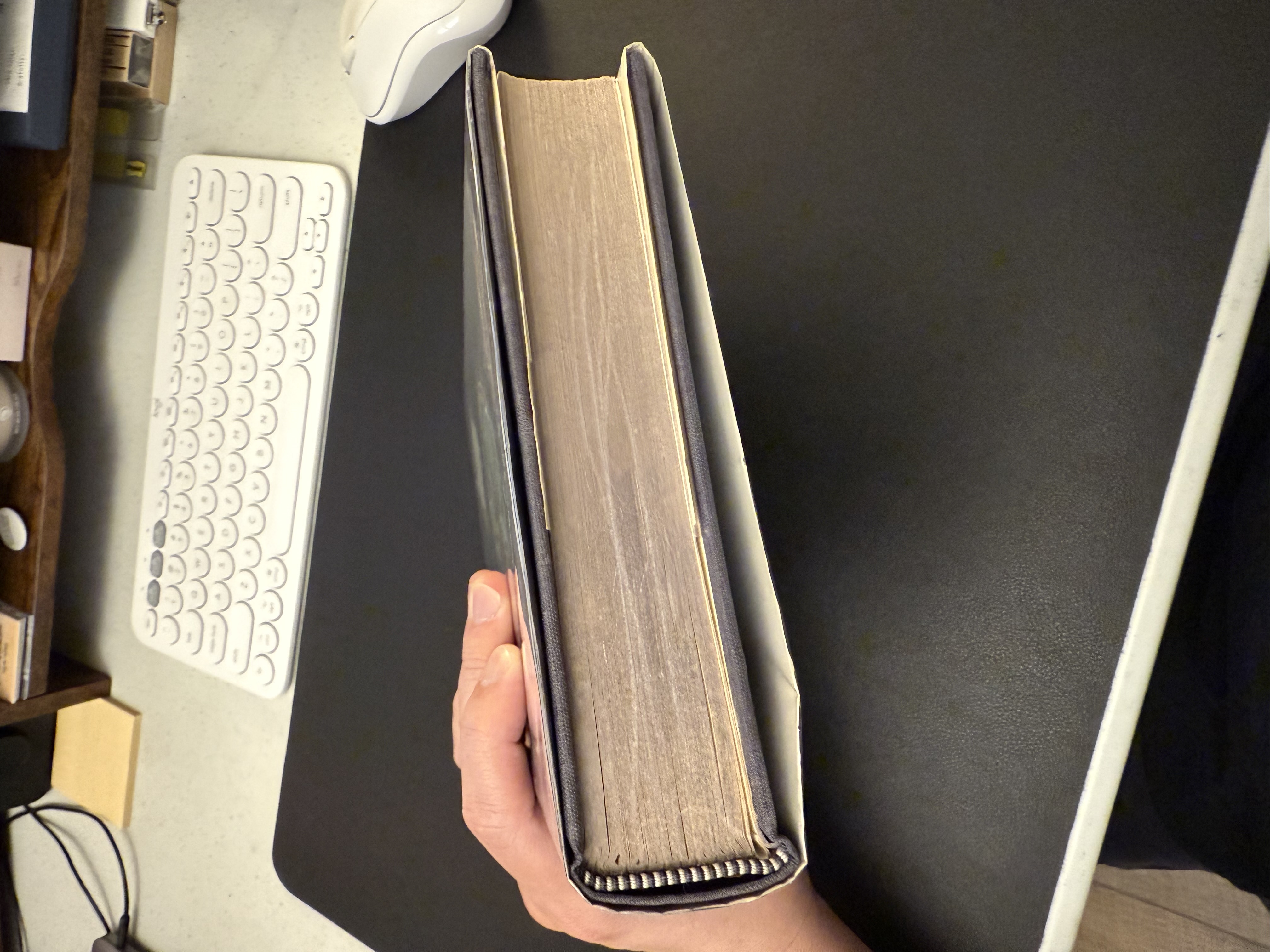 5650_683ba8758ef96.jpeg 4032X3024 px