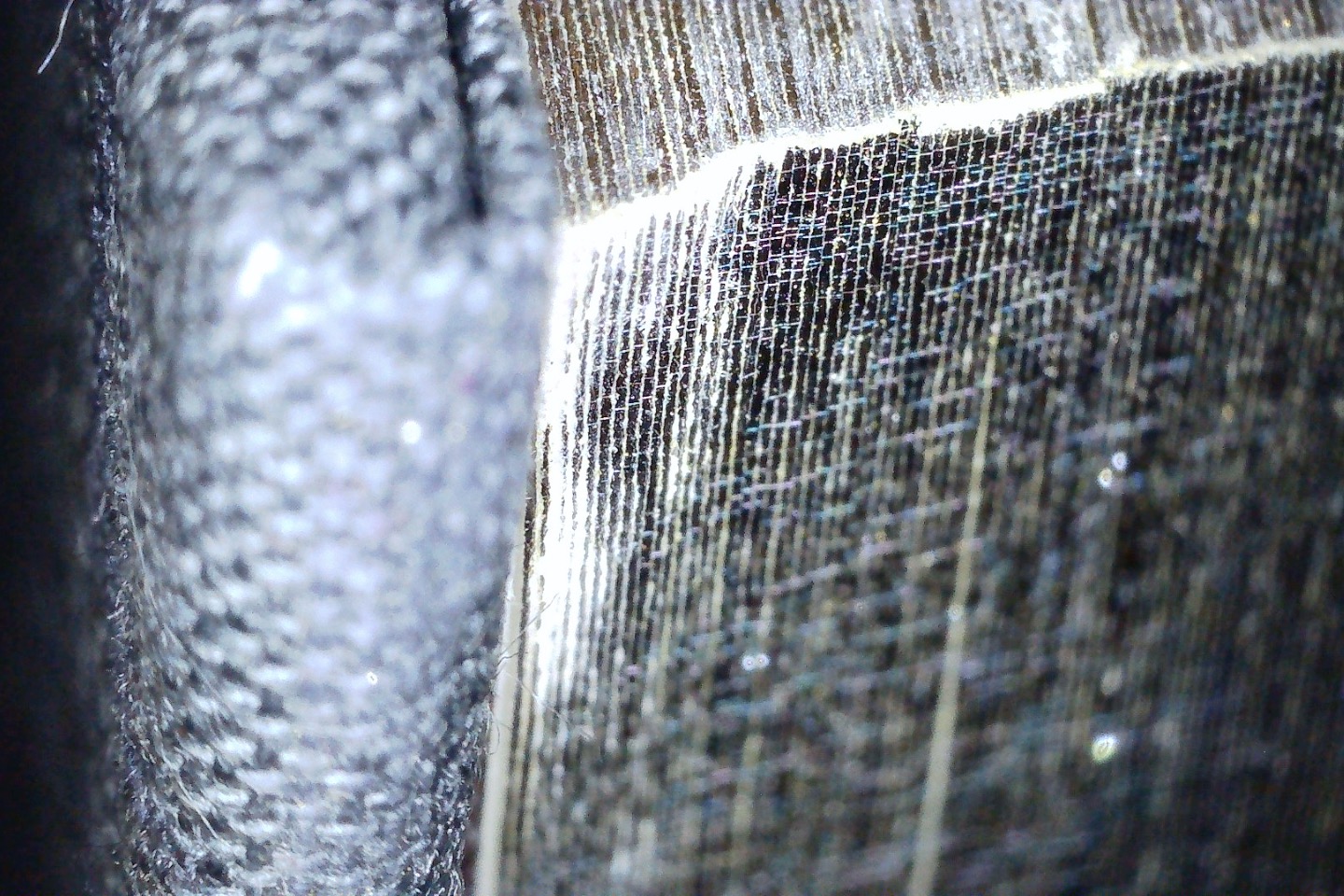 gilt.jpg 6298_69175a6cf0957.jpg 1440X960 px