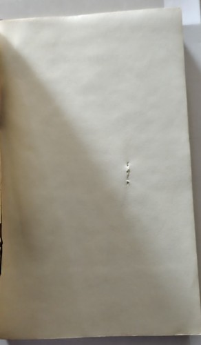 6381_69e92320ad60e.jpg 292X500 px